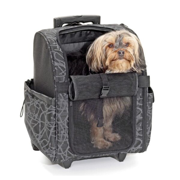 Hondenrugzak & Hondentrolley