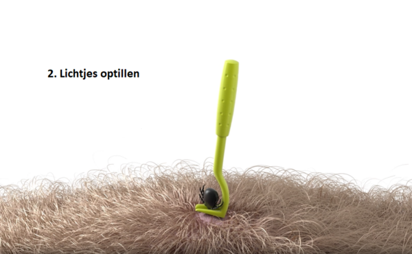 Tekenhaak Set (2 stuks)