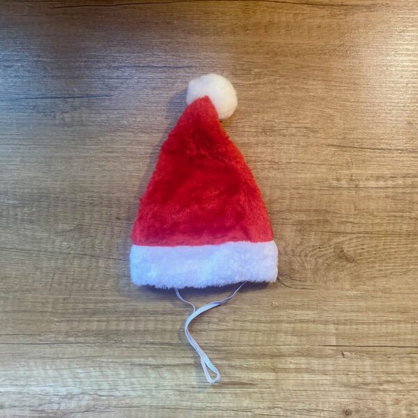 Kerstmuts Hond