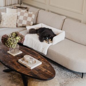 Hondendeken Bank Wit