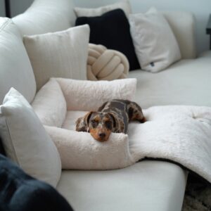 Hondendeken Bank Wit