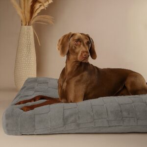 Orthopedisch Hondenkussen Grijs