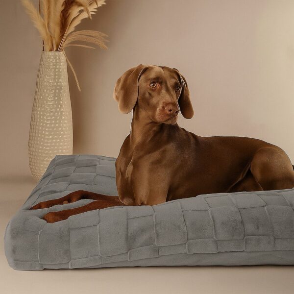 Orthopedisch Hondenkussen Grijs