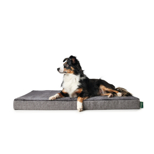 Orthopedische Hondenmat Tirano