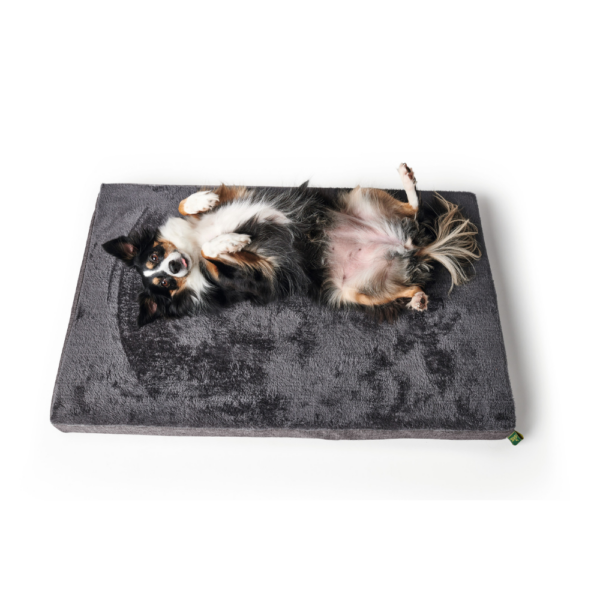 Orthopedische Hondenmat Tirano