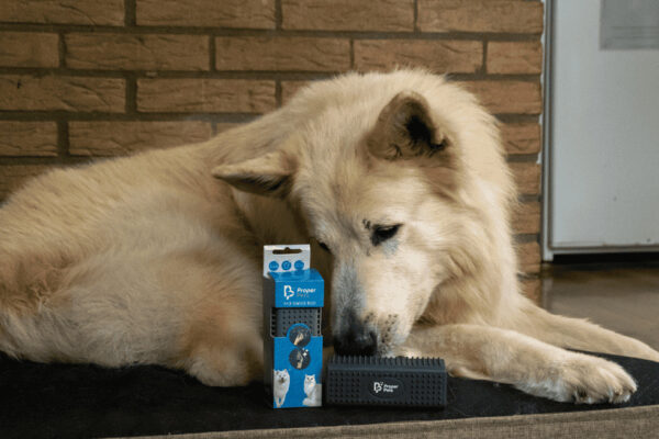 Haarverwijderaar Grijs