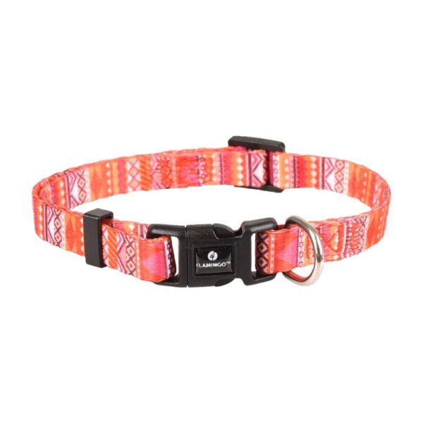 Puppy Tuigje Zalmroze