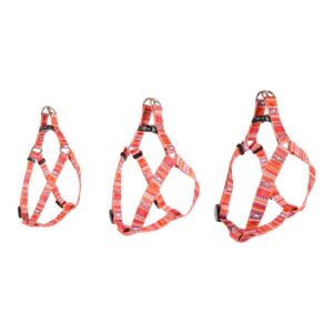 Puppy Tuigje Zalmroze