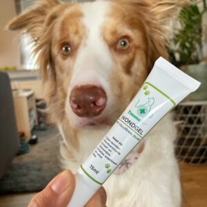 Wondgel met Colloïdaal Zilver 15ML