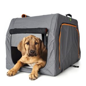 Reisbench Hond Opvouwbaar Grijs