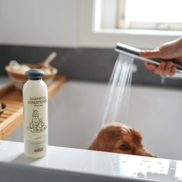 Shampoo & Conditioner (2-in-1)