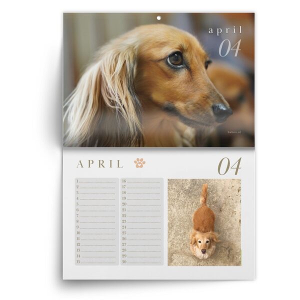 Verjaardagskalender Teckel