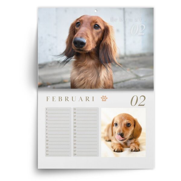 Verjaardagskalender Teckel