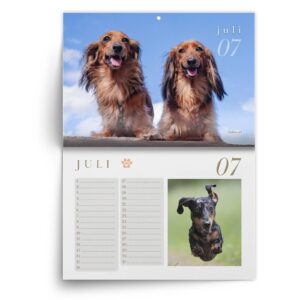 Verjaardagskalender Teckel