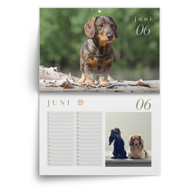 Verjaardagskalender Teckel