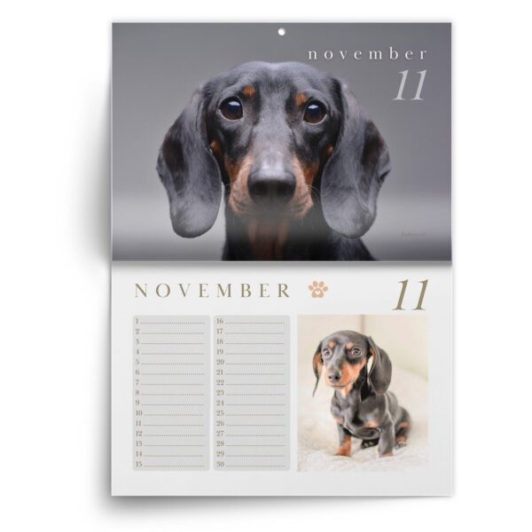 Verjaardagskalender Teckel