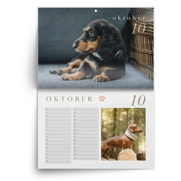 Verjaardagskalender Teckel