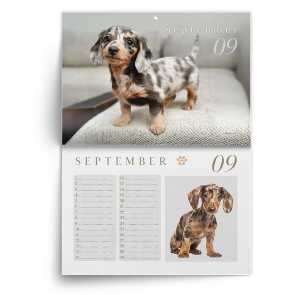 Verjaardagskalender Teckel