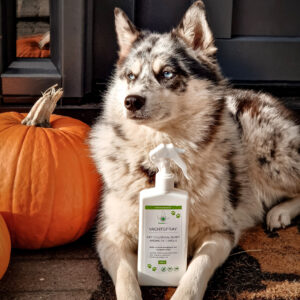 Anti-Vlooien & Teken Vachtspray