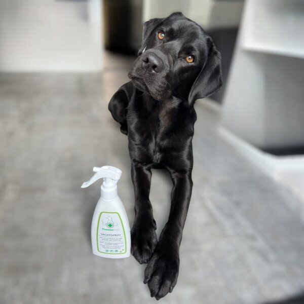 Anti-Vlooien & Teken Vachtspray