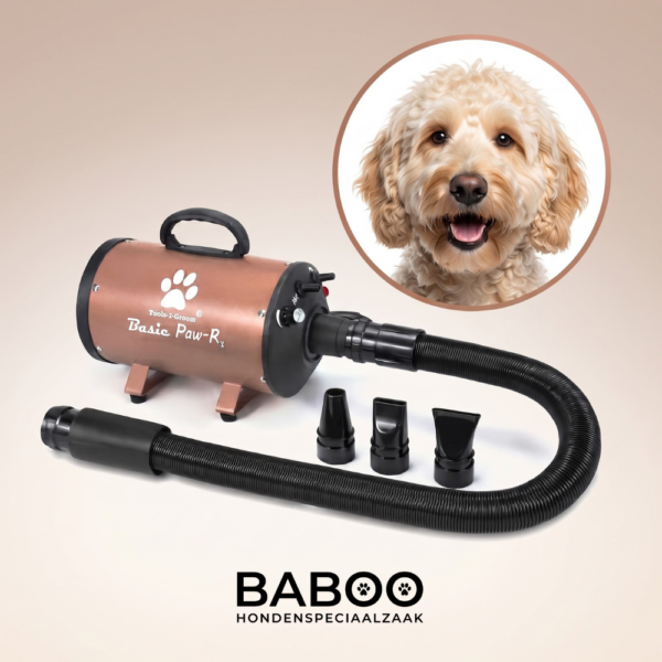 waterblazer labradoodle