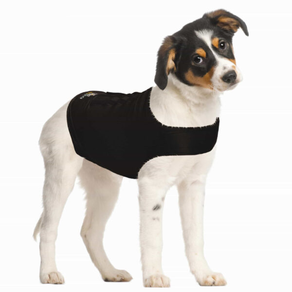ZenDog Compressie Shirt