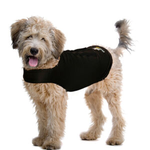 ZenDog Compressie Shirt