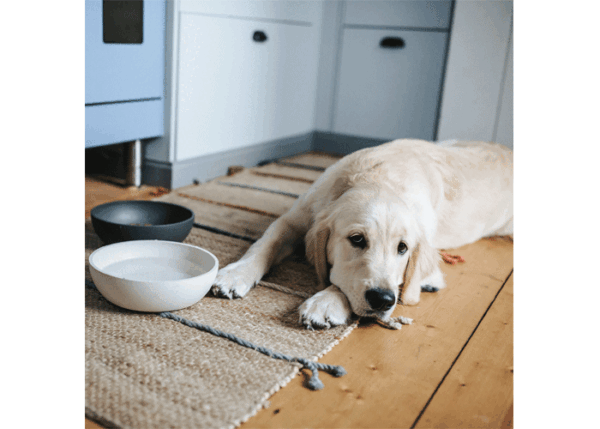 Voerbak BAMBOO Donkergrijs