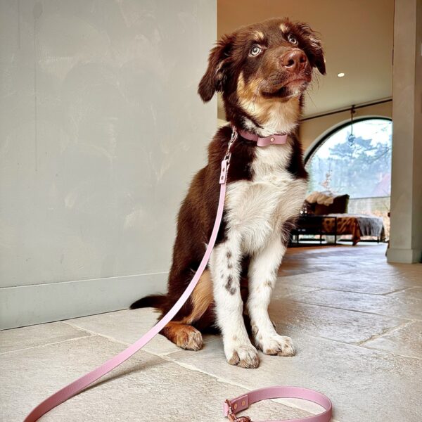 Biothane Hondenlijn Lavendel