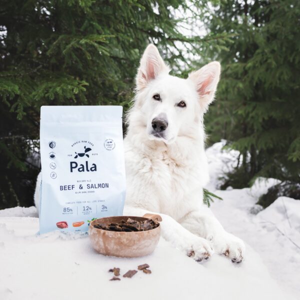 Pala - Gedroogd Vlees - Rund & Zalm