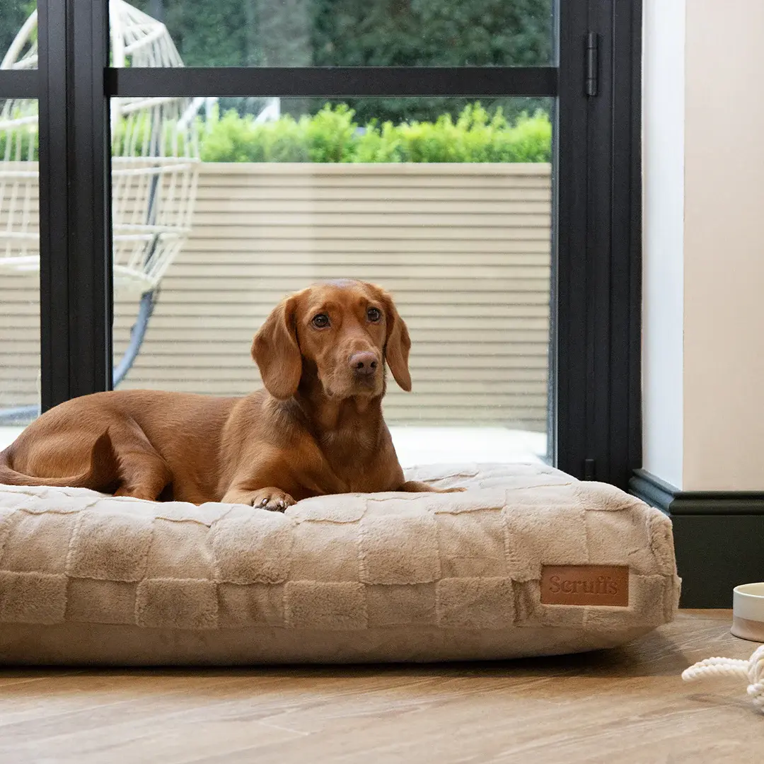 file 423962f0 65ff 45fd 99b3 466a419e4448