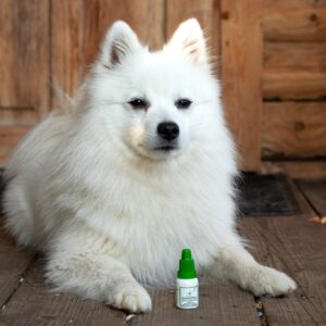 Oogdruppels Hond TraumaPet