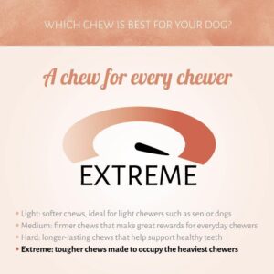 Geperste Kauwstaaf XXL