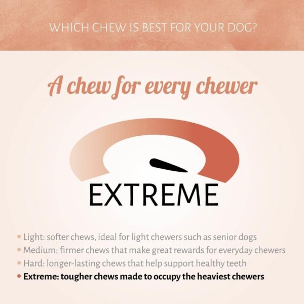 Geperste Kauwstaaf XXL