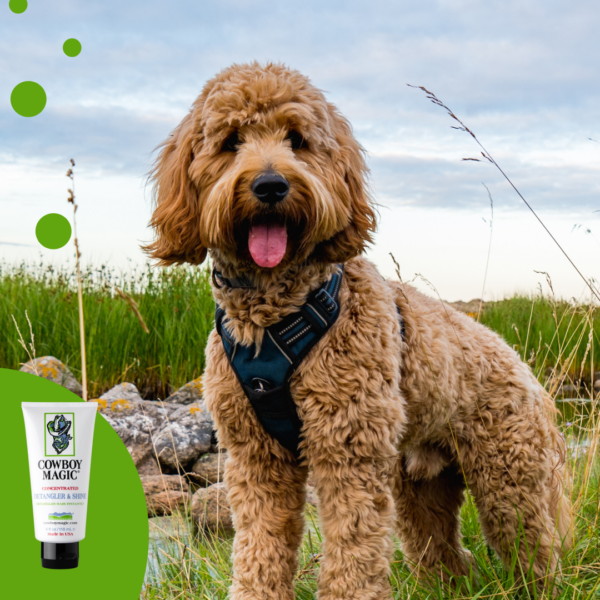 Cowboy Magic Detangler