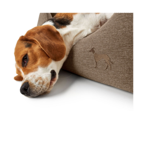 Hondenmand Livingston Bruin