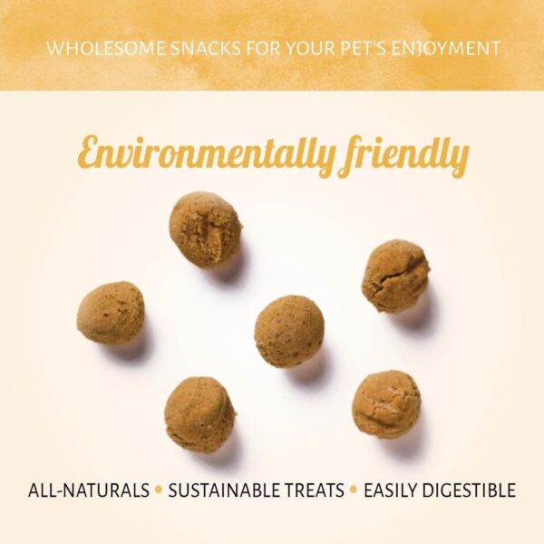 Hondensnoepjes Insecta - Krekel & Zoete Aardappel