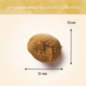 Hondensnoepjes Insecta - Krekel & Zoete Aardappel