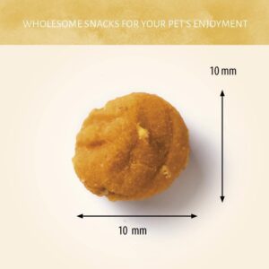 Hondensnoepjes Insecta - Meelworm & Pompoen