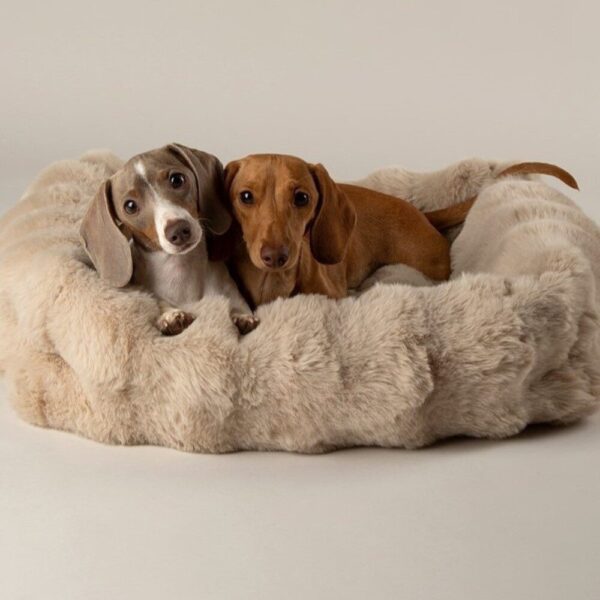 Fluffy Hondenmand Beige