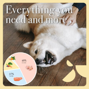 Pala - Gedroogd Vlees - Kip & Zalm