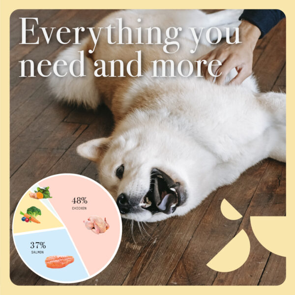 Pala - Gedroogd Vlees - Kip & Zalm