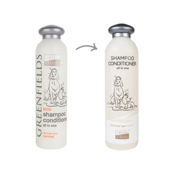 Shampoo & Conditioner (2-in-1)