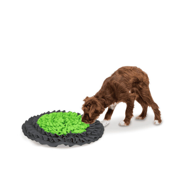 Snuffelmat Groen-Antraciet