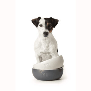 Keramische Voerbak Wit